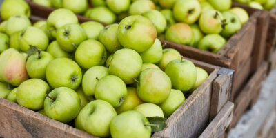 Fresh green apples on the wooden boxes, harvest, Fresh green apples on the wooden boxes, harvest, space for your text, local market or supermarket, Ukraine apples.